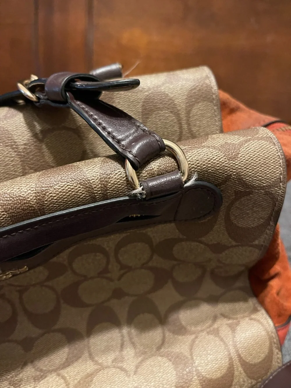 Coach kleo carryall